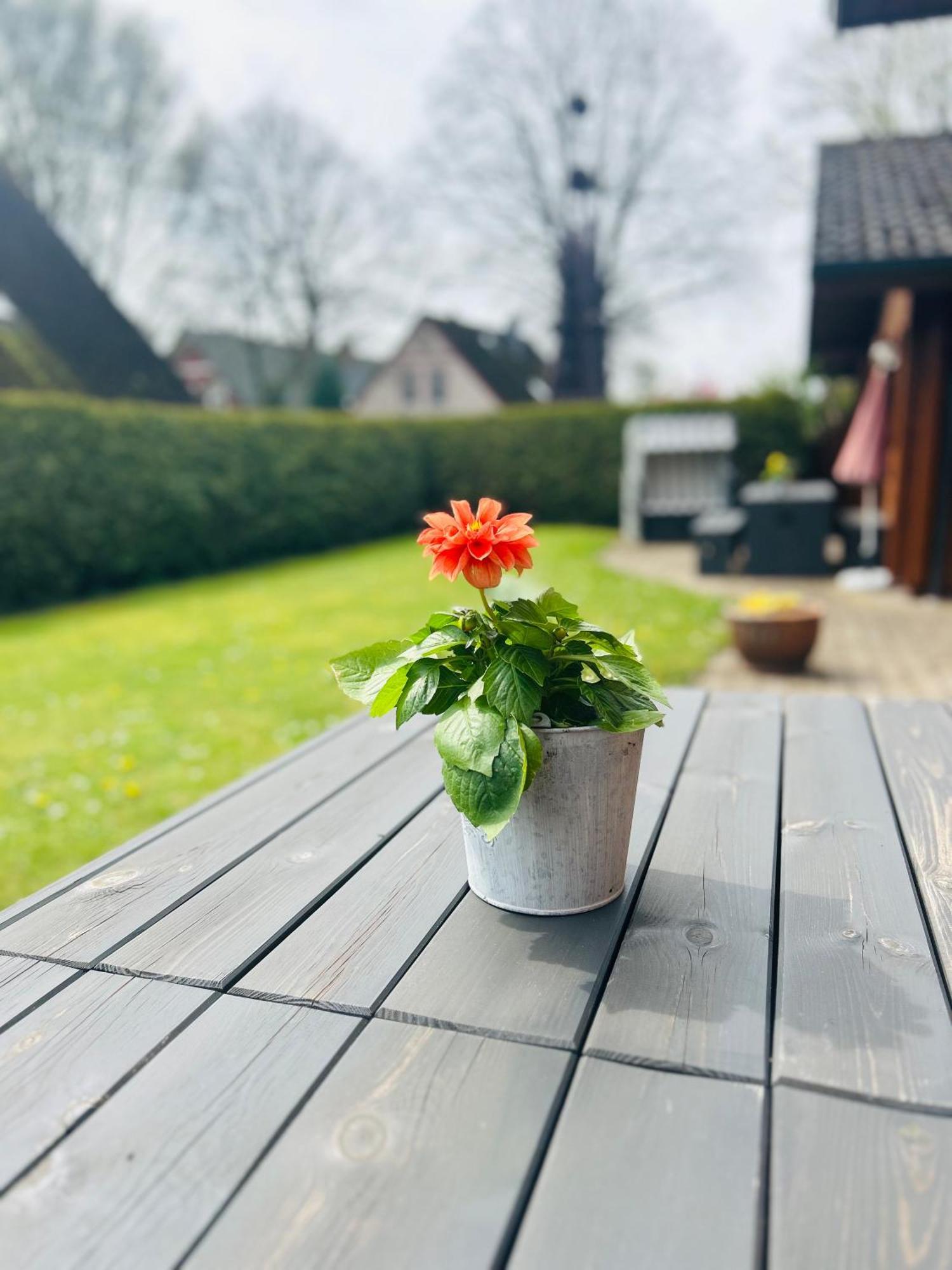 Ferienpark Harmsen Cuxhaven Exteriér fotografie