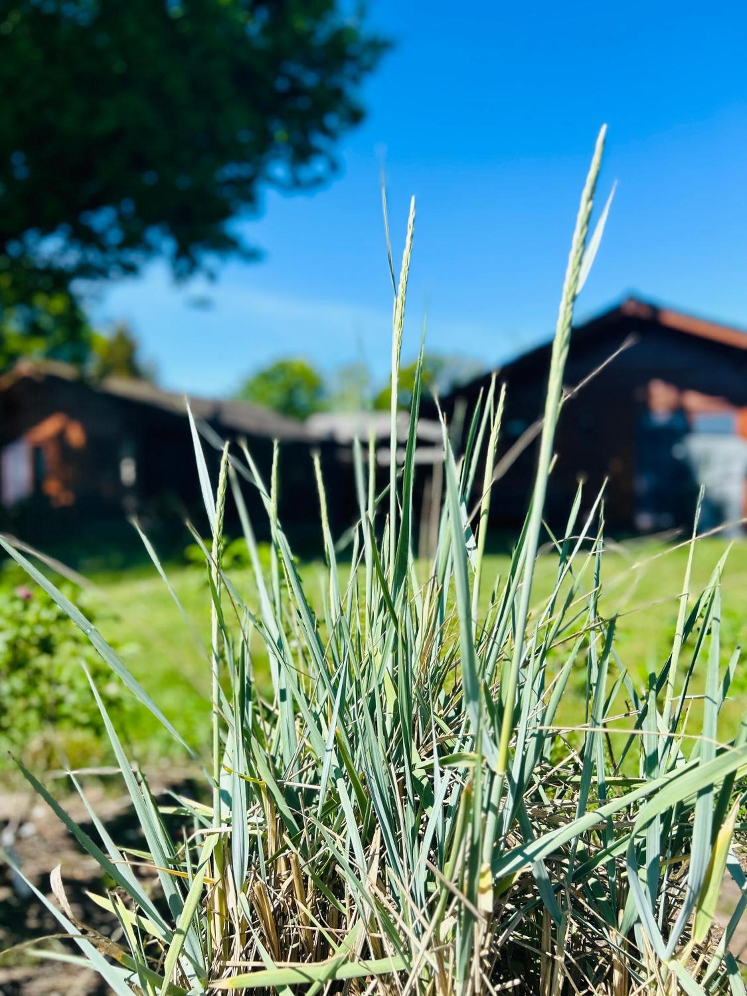 Ferienpark Harmsen Cuxhaven Exteriér fotografie
